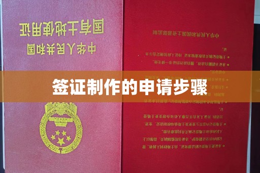 澄城签证制作的申请步骤
