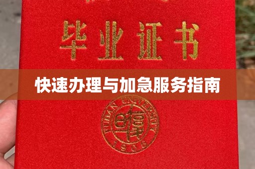 澄城快速办理与加急服务指南
