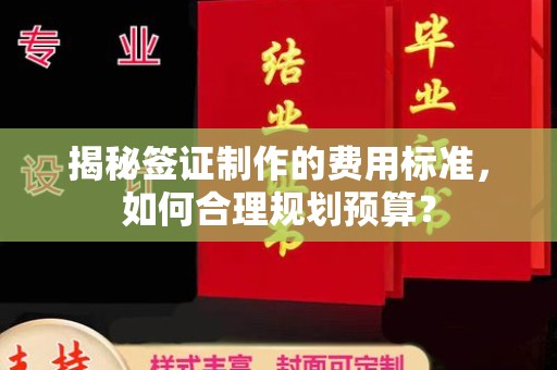 澄城揭秘签证制作的费用标准，如何合理规划预算？