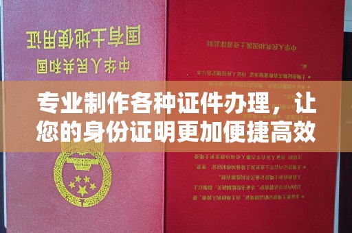 澄城专业制作各种证件办理，让您的身份证明更加便捷高效