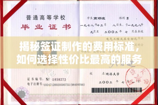 澄城揭秘签证制作的费用标准，如何选择性价比最高的服务？