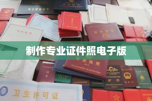澄城制作专业证件照电子版