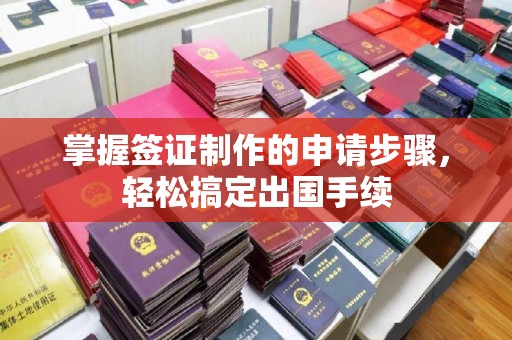 澄城掌握签证制作的申请步骤，轻松搞定出国手续