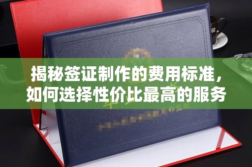 澄城揭秘签证制作的费用标准，如何选择性价比最高的服务？