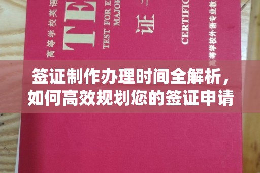 澄城签证制作办理时间全解析，如何高效规划您的签证申请流程