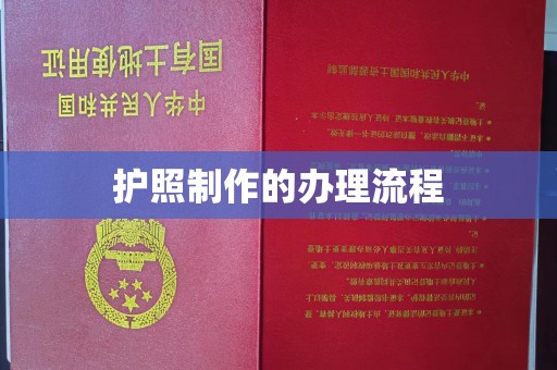 澄城护照制作的办理流程